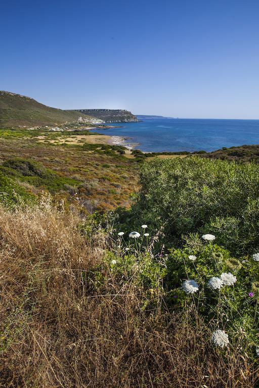 布沙滨海Residenza Solemar别墅 外观 照片