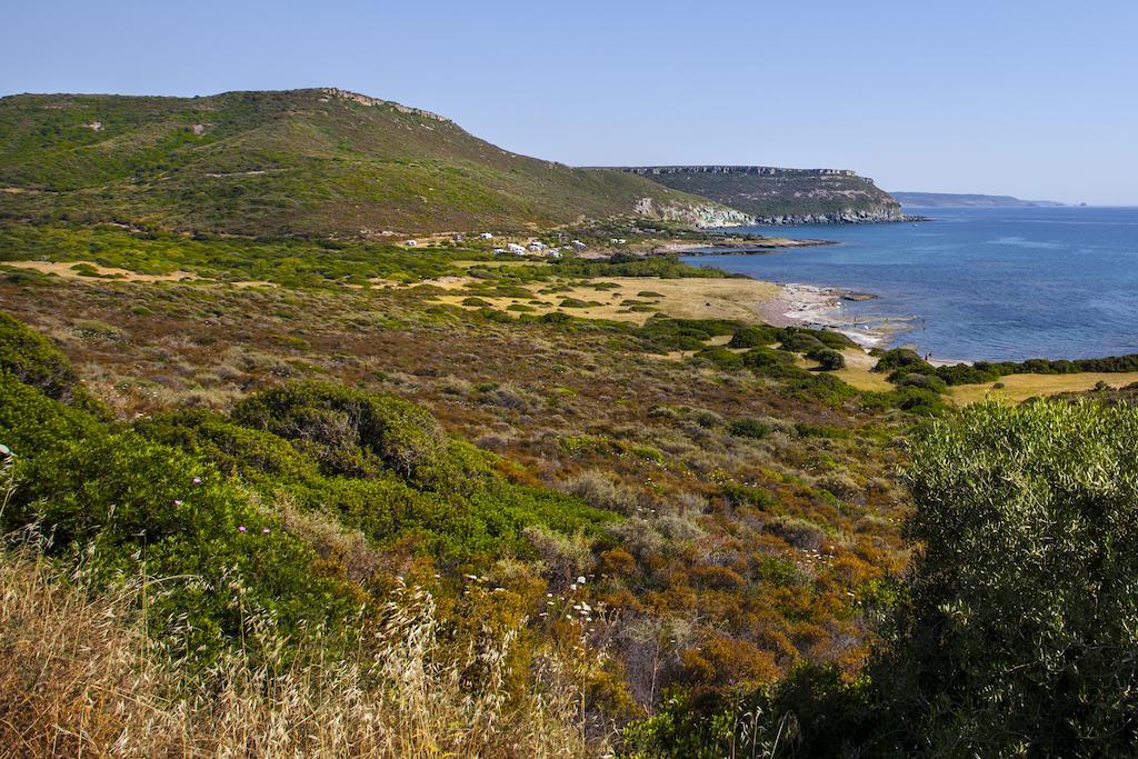 布沙滨海Residenza Solemar别墅 外观 照片