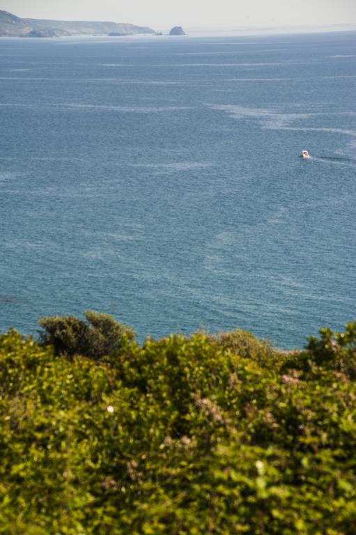 布沙滨海Residenza Solemar别墅 外观 照片